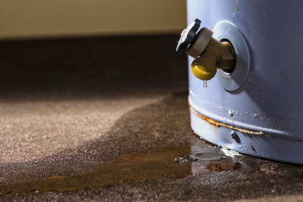 Best Flooded house restoration  in Beech Mountain Lakes, PA