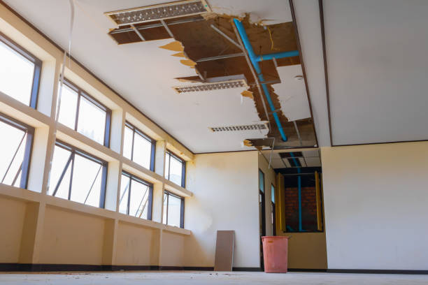 Best Water damage restoration insurance claims  in Beech Mountain Lakes, PA