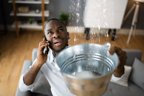 Best Water damage contractors near me  in Beech Mountain Lakes, PA