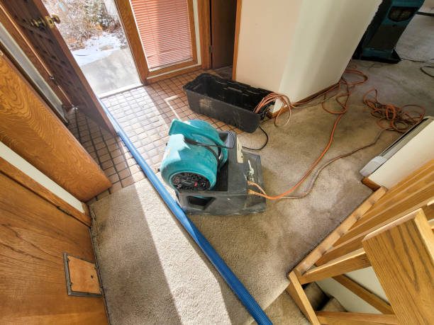 Best Flood damage cleanup  in Beech Mountain Lakes, PA