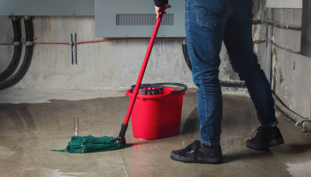 Best Water damage restoration company  in Beech Mountain Lakes, PA