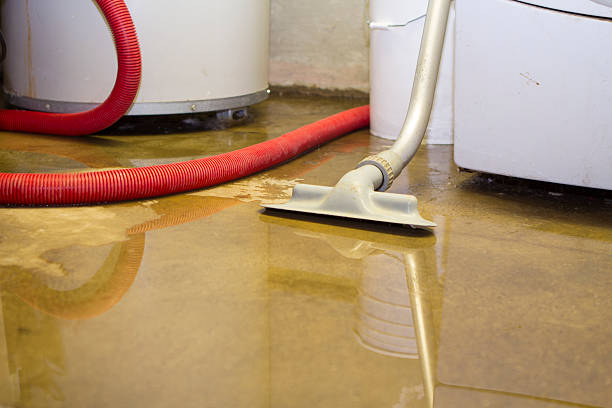 Best Water damage restoration services  in Beech Mountain Lakes, PA