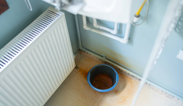 Best Basement water damage restoration  in Beech Mountain Lakes, PA