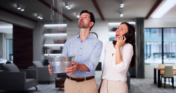 Best Ceiling water damage repair  in Beech Mountain Lakes, PA